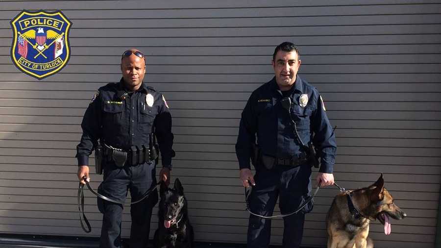 Officer Queray McMihelk with K9 Officer Keyser (left) and Officer Nim Khamo with K9 Officer Varick are the newest members of the Turlock Police Department. Police shared this photo on the department's Facebook page on Tuesday, Feb. 9, 2016.