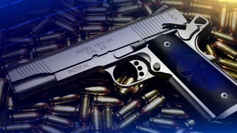 Signatures readied to qualify gun control measure for ballot