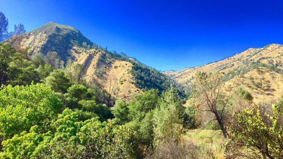 Stebbins Cold Canyon Natural Reserve reopens on Sunday.