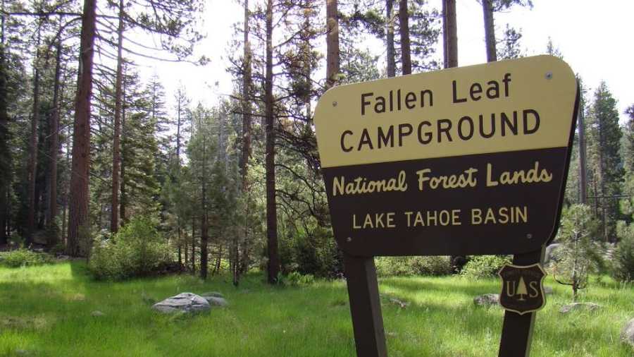 Fallen Leaf Campground (June 8, 2016)