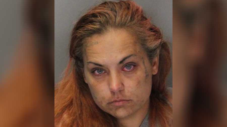 Rebecca Temme, 34, was arrested by Sacramento police in Sacramento