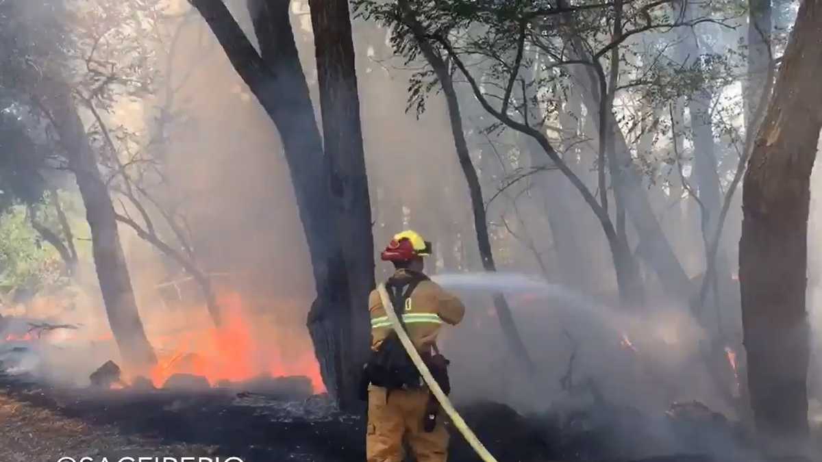 Fire crews contain 2 grass fires in Sacramento area