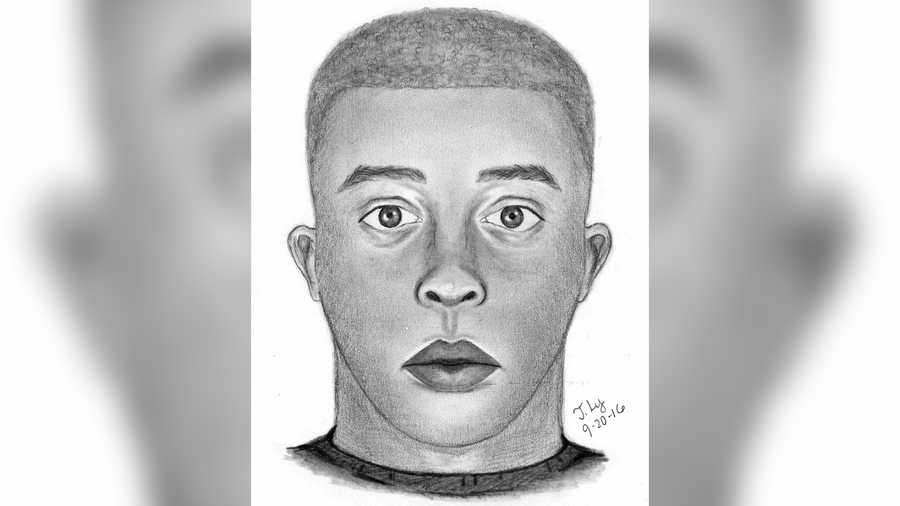 The Sacramento County Sheriff's Department released this sketch of man who attacked and sexually assaulted a 15-year-old girl.