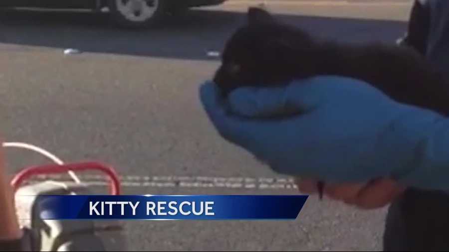 A kitten trapped in a storm drain in Citrus Heights now has a forever home thanks to the work of first responders, a plumber and an officer looking for a cat to add to her family.