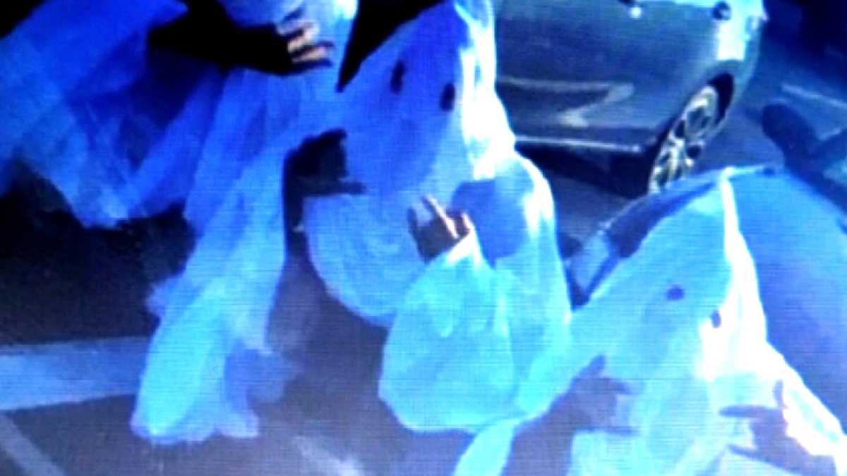 Sheriff's 'ghost' horse costume blasted for 'KKK' similarity