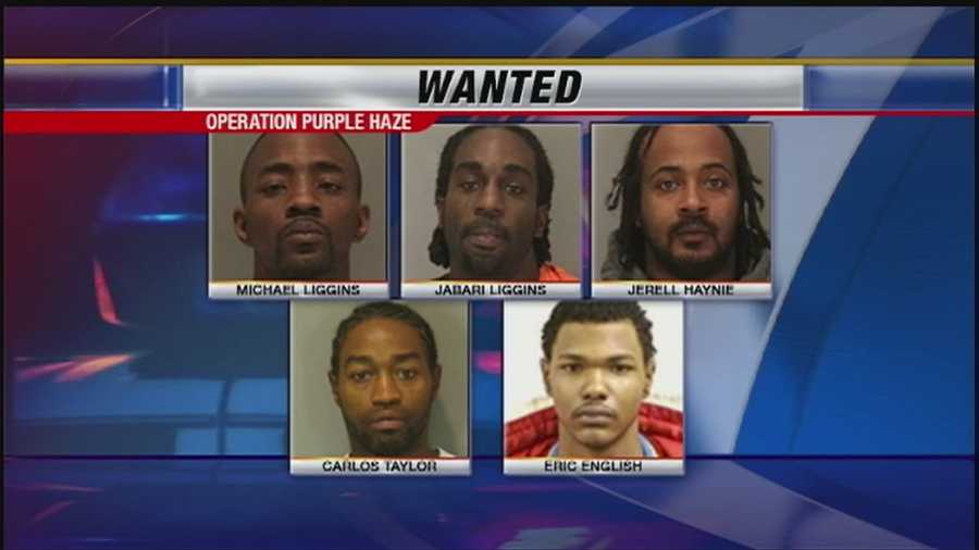 Authorities in Omaha have arrested four men on suspicion of gang-related activity that includes gun and drug trafficking.