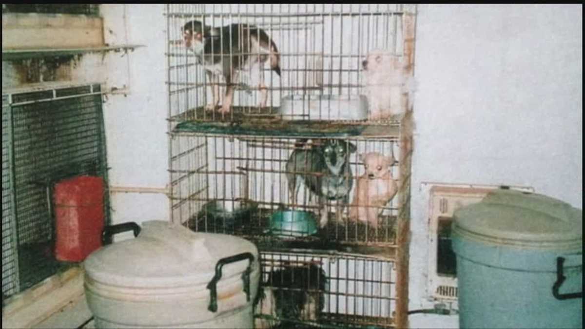 Former Nebraska dog breeder gets probation