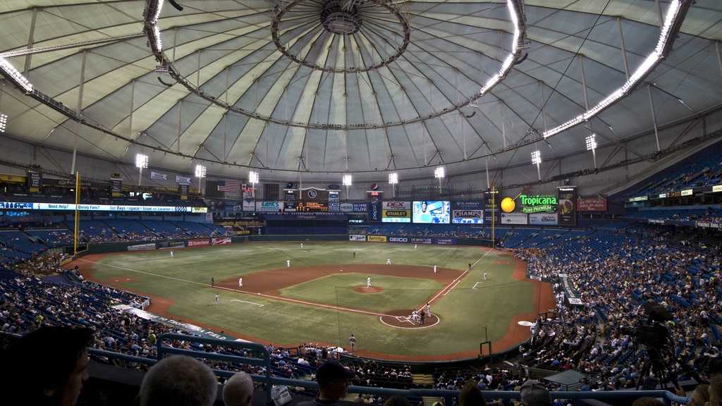 Cost to propose in MLB stadiums