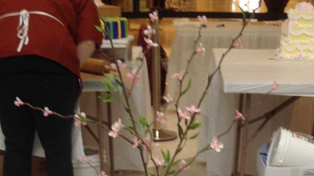 Photos HyVee cake decorators compete in Omaha