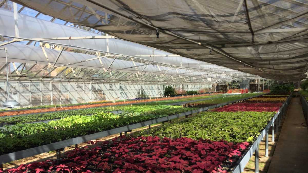 City of Omaha's greenhouse in full bloom