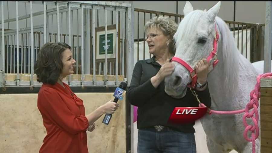 Amanda Crawford takes us behind the scenes at the CenturyLink Center Omaha, where The International horse-jumping competition will be held this weekend.