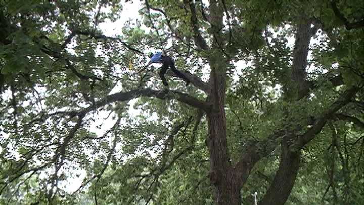 Professional arborists from across seven states took to the trees in Hanscom Park for a tree-climbing competition Saturday.