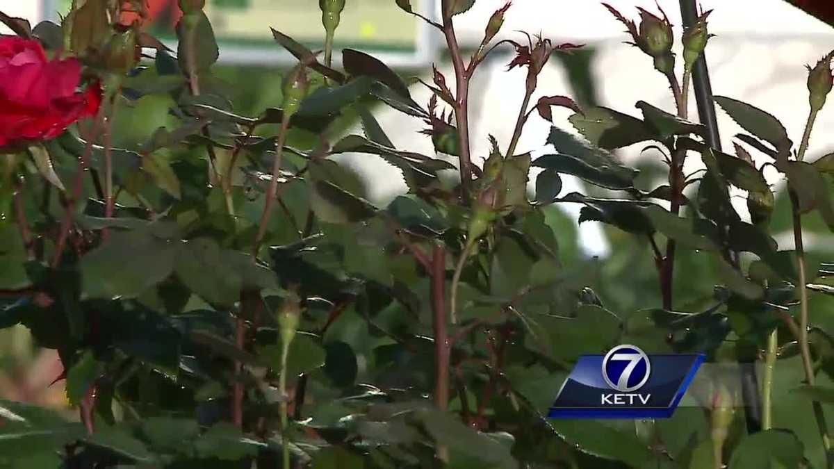 Mulhall's provides tips on how to recover from last week's severe weather