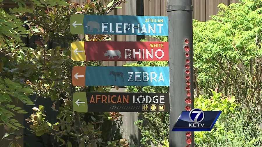 It is the Henry Doorly Zoo's largest project to date.