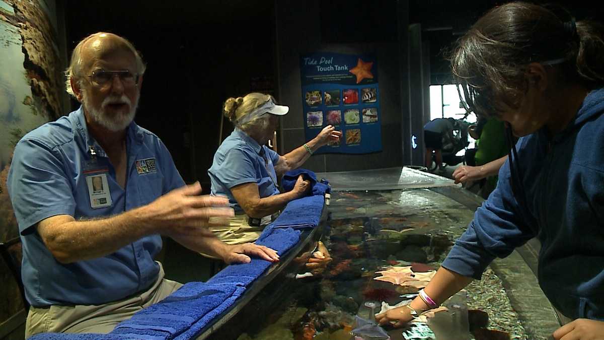 "Red, White and Zoo" draws crowd