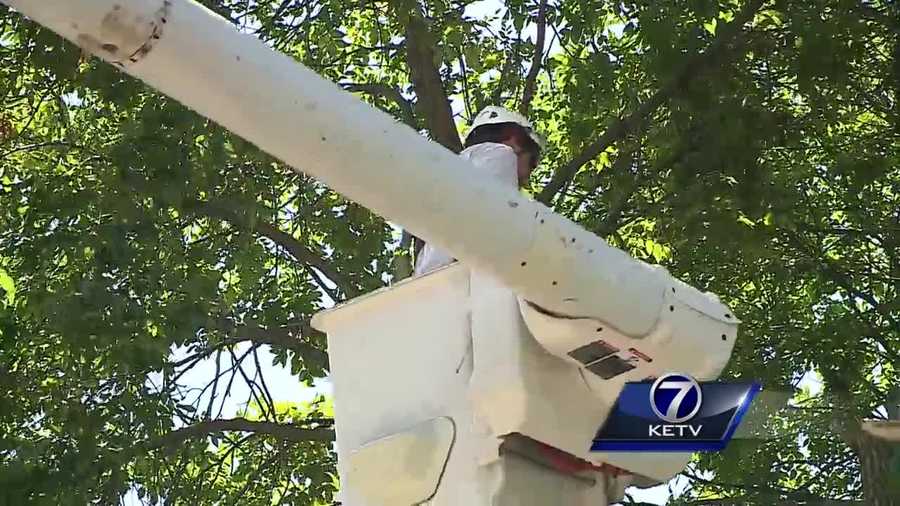The emerald ash borer has already left its mark on Omaha, and it's putting the plan by the city to the test.