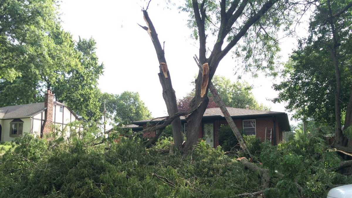 Man critically hurt after tree branch strikes his head