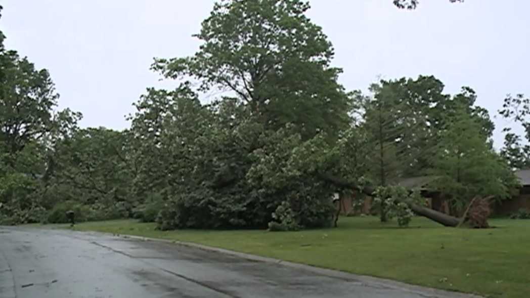 Neighborhood starts cleanup after storms damage trees