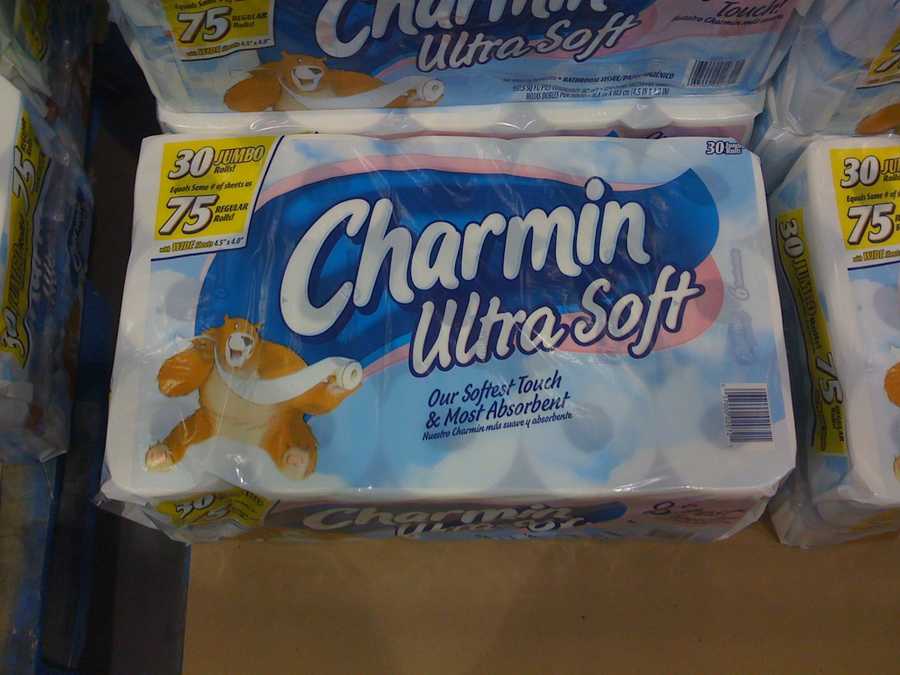 charmin soft bear