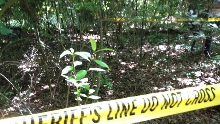 Photos 2 Arrested After Body Found At Shallow Grave