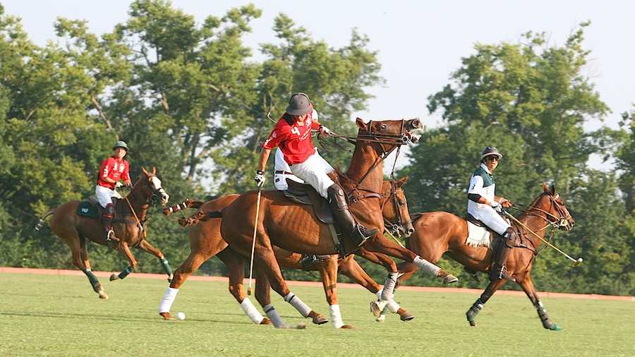 Polo: A polo pony will cost you $15,000 - $35,000, according to SportPolo.com. Club fees and equipment are thousands more.