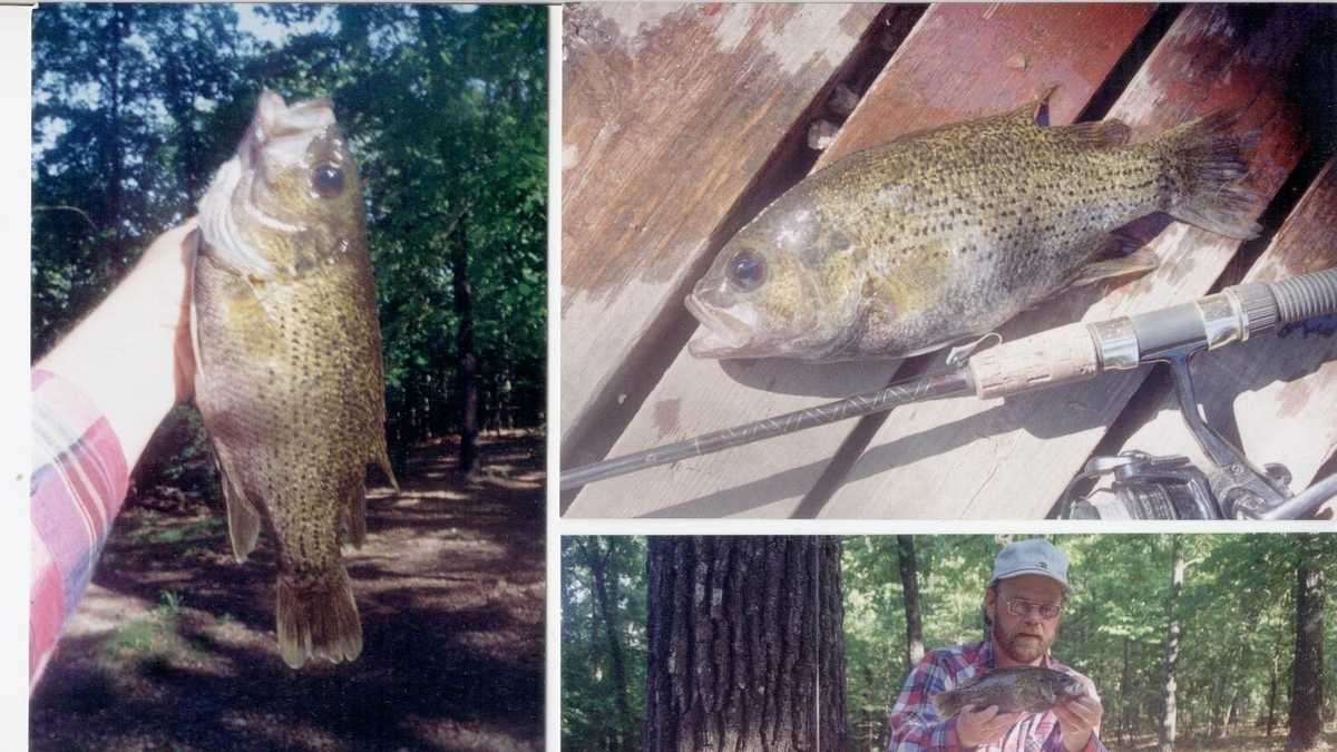 Arkansas's Biggest Fish