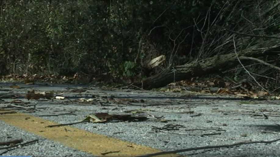 Tree falls on woman at Lake Fayetteville Trail