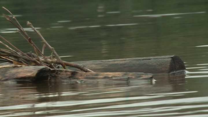 Park rangers warn of high-water levels at Beaver Lake