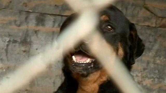 Second peak rabies season hits Arkansas