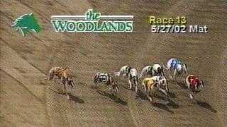 Greyhounds race at The Woodlands in Kansas City, Kan.