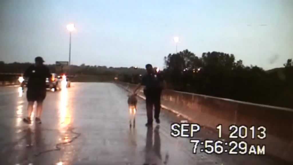 KCPD officers help rescue deer in thunderstorm