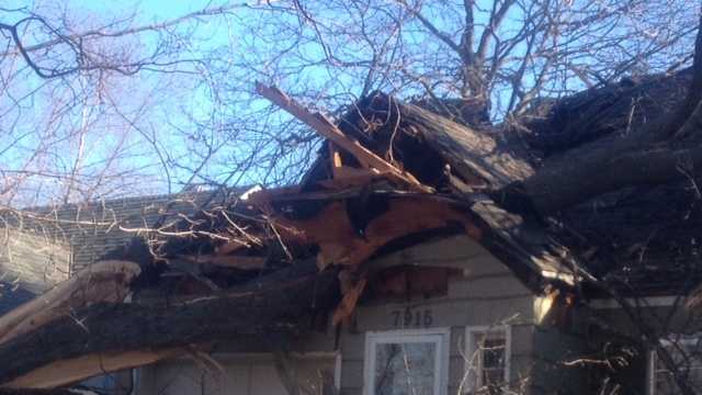 A large tree fell on a home on Ward Parkway Plaza between 79th Street and 80th Street on Sunday night.  Sunday night's strong winds might have caused the tree to topple.