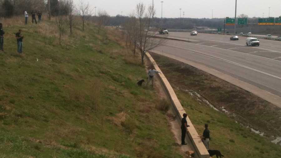 Search dogs and investigators check out an area near Grandview Road and I-435 on Wednesday.