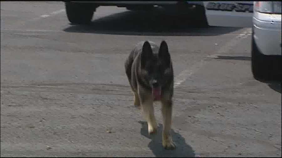 The Blue Springs Police Department held a memorial service for a K9 who passed away.  KMBC's Matt Evans reports.