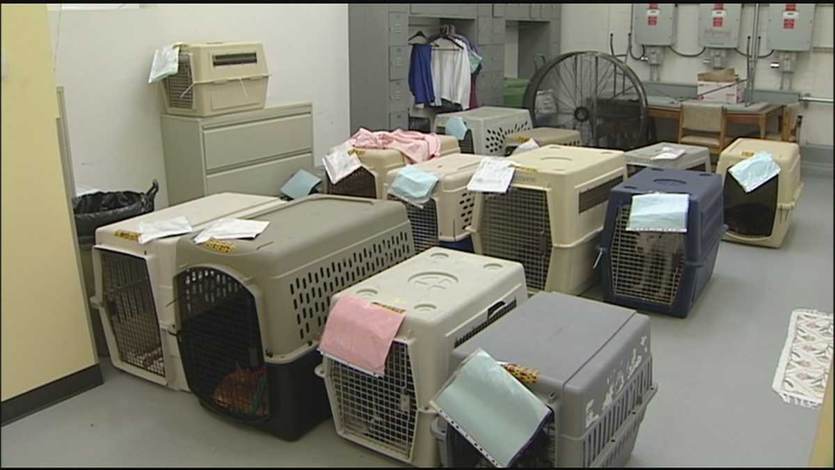 Copper thieves leave KC animal shelter without AC