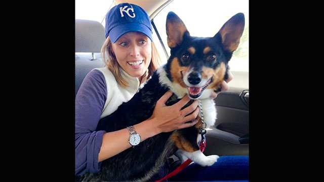 The Kansas City Royals Win, and a New Fan Gets a New Puppy – Dogster