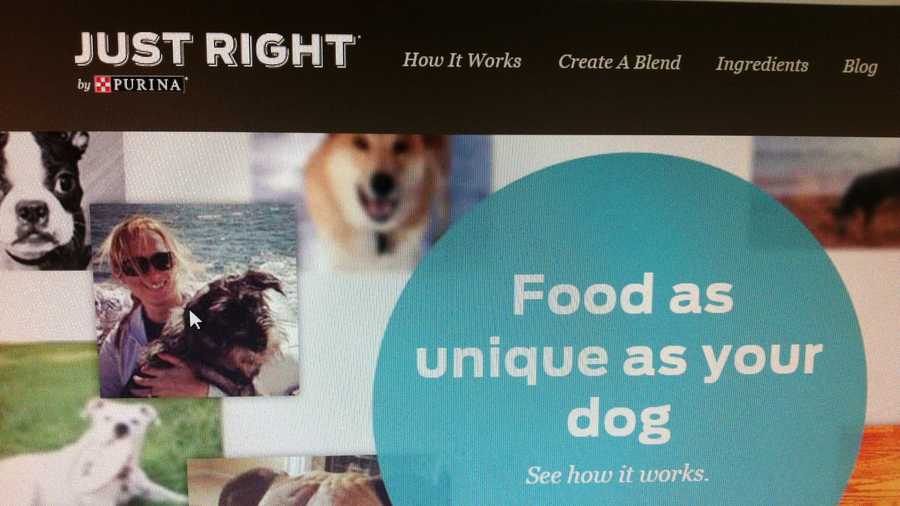 Purina offering personalized dog food