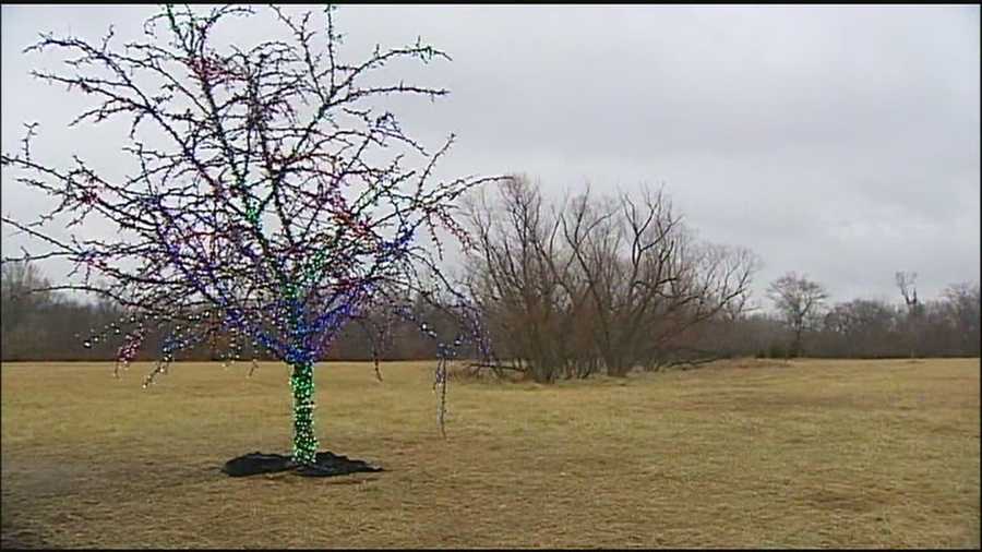 Repairs made to Lee's Summit 'magic tree'