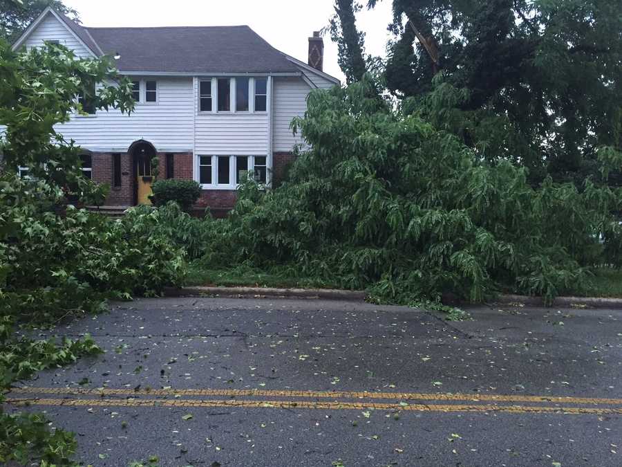 See storm damage from around the metro