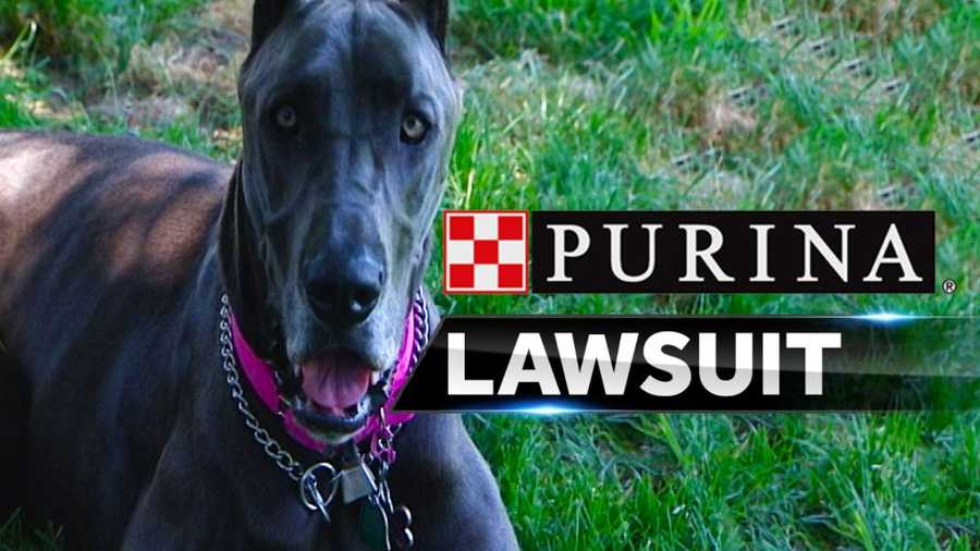 Lawsuit claims popular pet food made dogs sick
