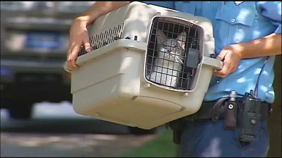 Kansas City Animal Control officers removed dozens of cats from a woman’s home Wednesday afternoon.