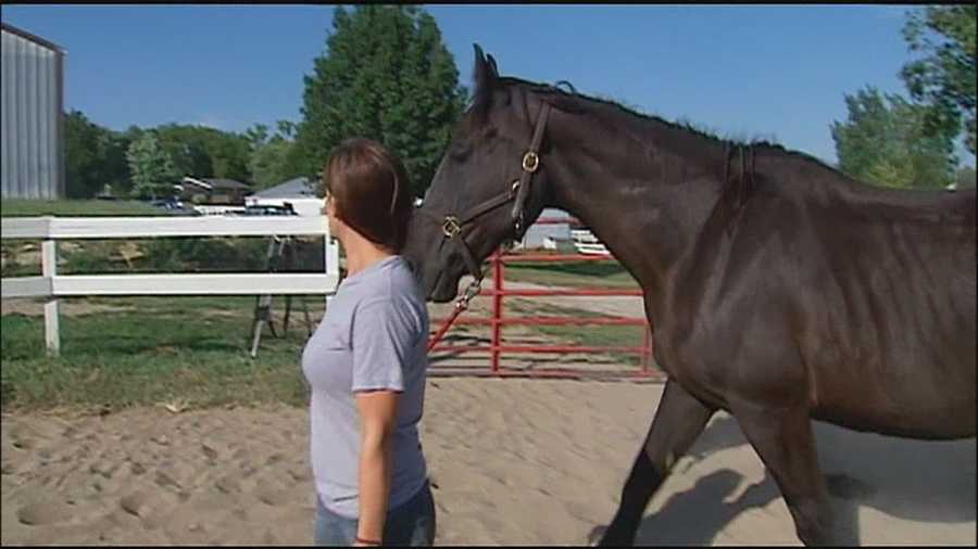 A Kansas City-area horse rescue organization is changing lives by healing one horse at a time.