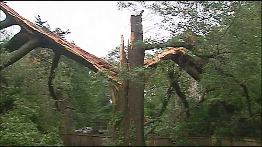 A massive tree falls on two homes in Lawrence early Monday after being struck by lightning.
