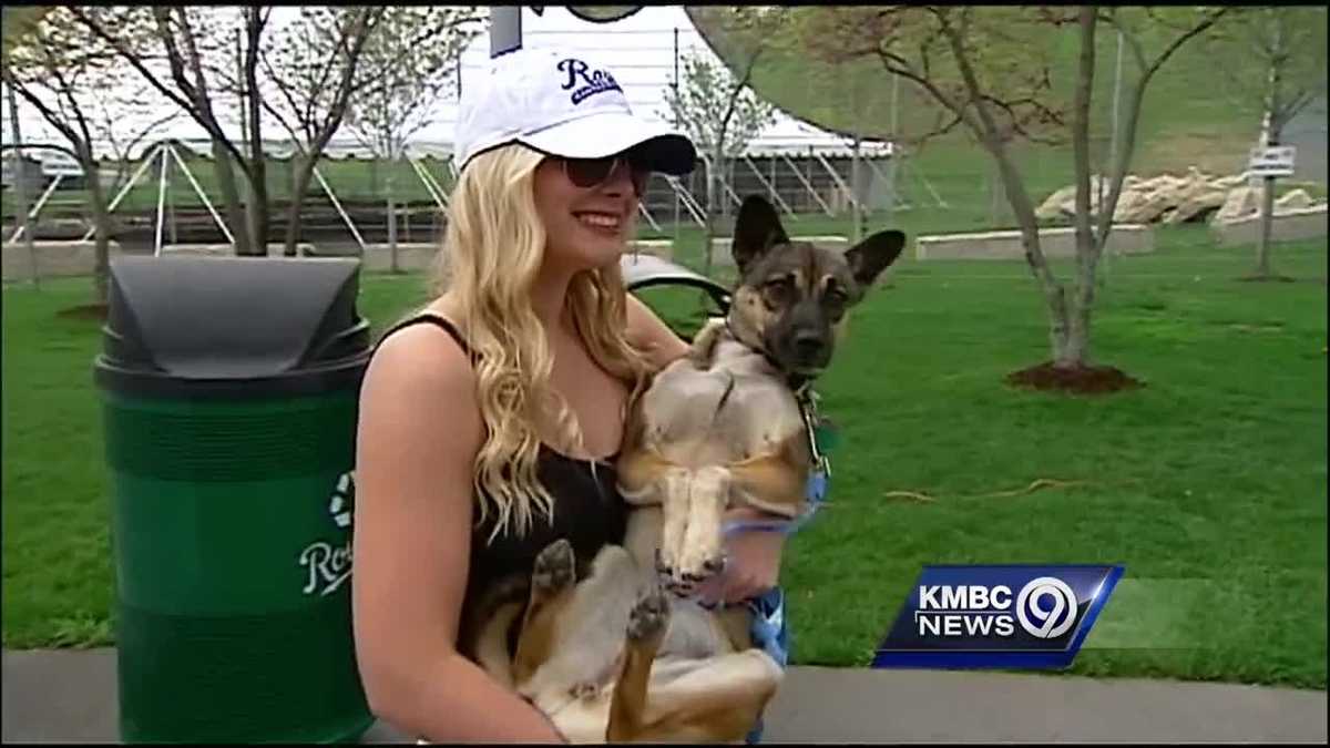 BringFido to CANCELED - Bark at the Park with the Kansas City Royals