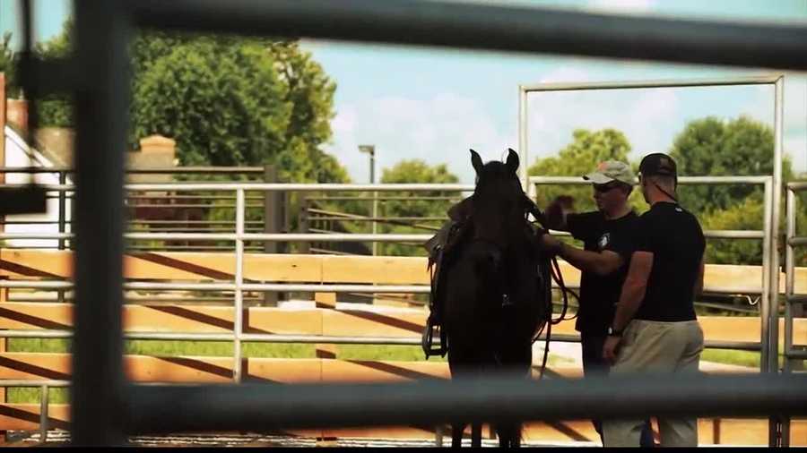 Combat veterans are getting help thanks to an equine program based in Stilwell.