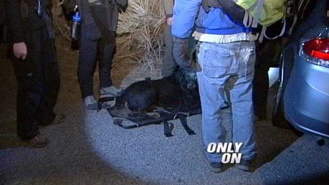 Only on 7, a man and his dog are rescued from the Sandia mountains late last night.