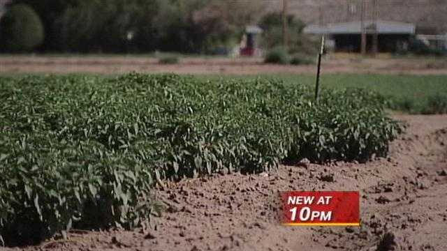 NM grapples with tough choices as drought persists