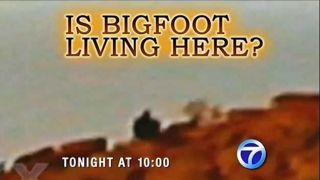 Popular Bigfoot theories, myths