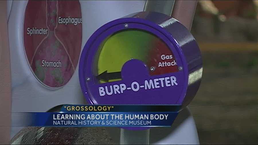 'Grossology' exhibit to open at local museum