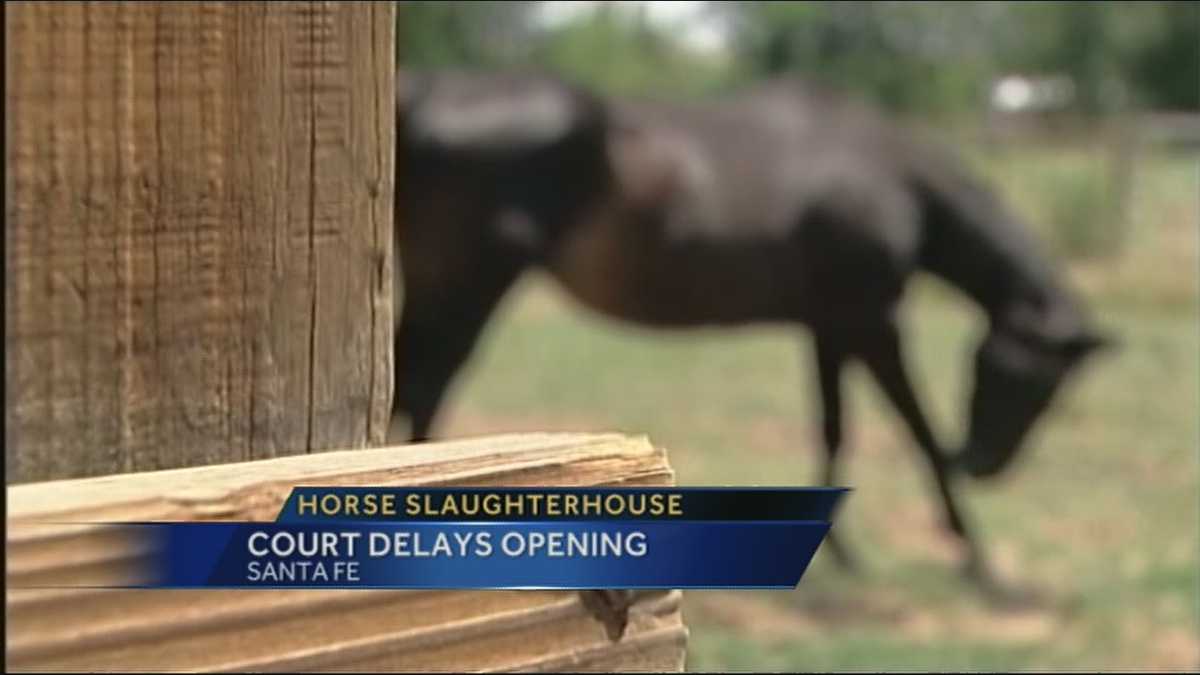 Horse slaughterhouse opening delayed